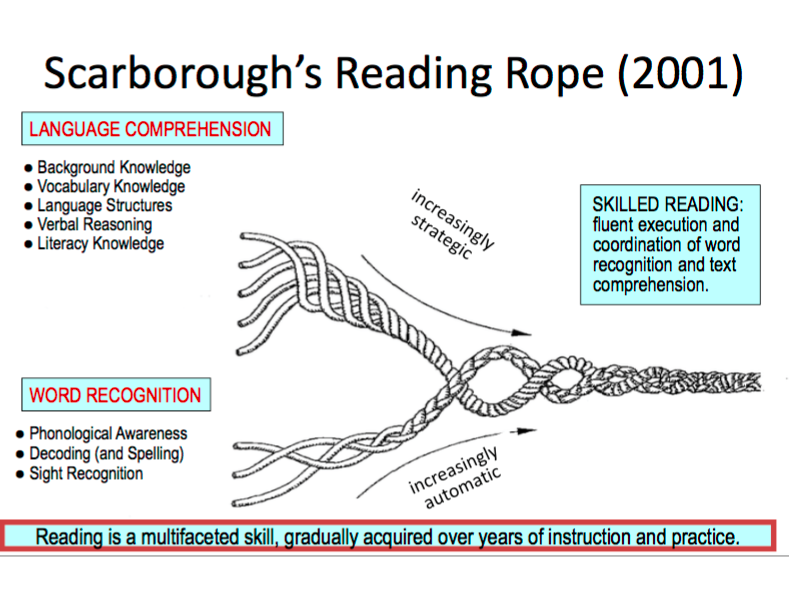 Open strands of rope: language comprehension – background knowledge, vocabulary knowledge, language structures, verbal reasoning, literacy knowledge; word recognition – phonological awareness, decoding (and spelling), sight recognition. Rope woven together, to become increasingly strategic/automatic – skilled reading: fluent execution and coordination of word recognition and text comprehension.  Reading is a multifaceted skill, gradually acquired over years of instruction and practice. 