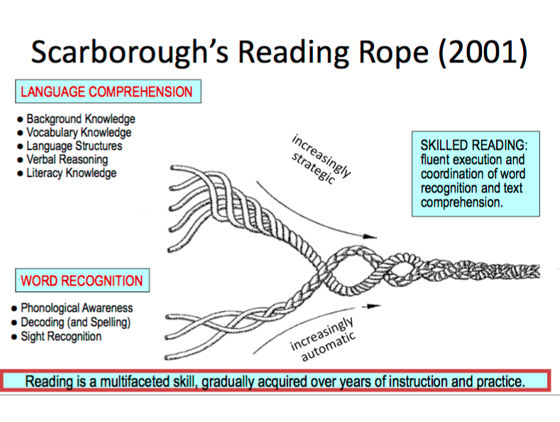 Corde de lecture de Scarborough (2001) Brins de corde ouverts : COMPRÉHENSION DU LANGAGE – Acquis préalable; Acquis en vocabulaire; Structures linguistiques; Raisonnement verbal; Connaissances liées à l’alphabétisme; RECONNAISSANCE DES MOTS – Conscience phonologique; Décodage (et épellation); Reconnaissance visuelle. Corde tissée, pour devenir de plus en plus stratégique/automatique – LECTURE EFFICACE : exécution et coordination aisées de la reconnaissance des mots et de la compréhension des textes.  La lecture est une compétence à volets multiples, qui s’acquière de façon graduelle au fil des années d’enseignement et de pratique